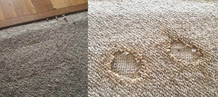 Spot Dyeing Carpet Stains  NuWay Carpet Dyeing & Repair